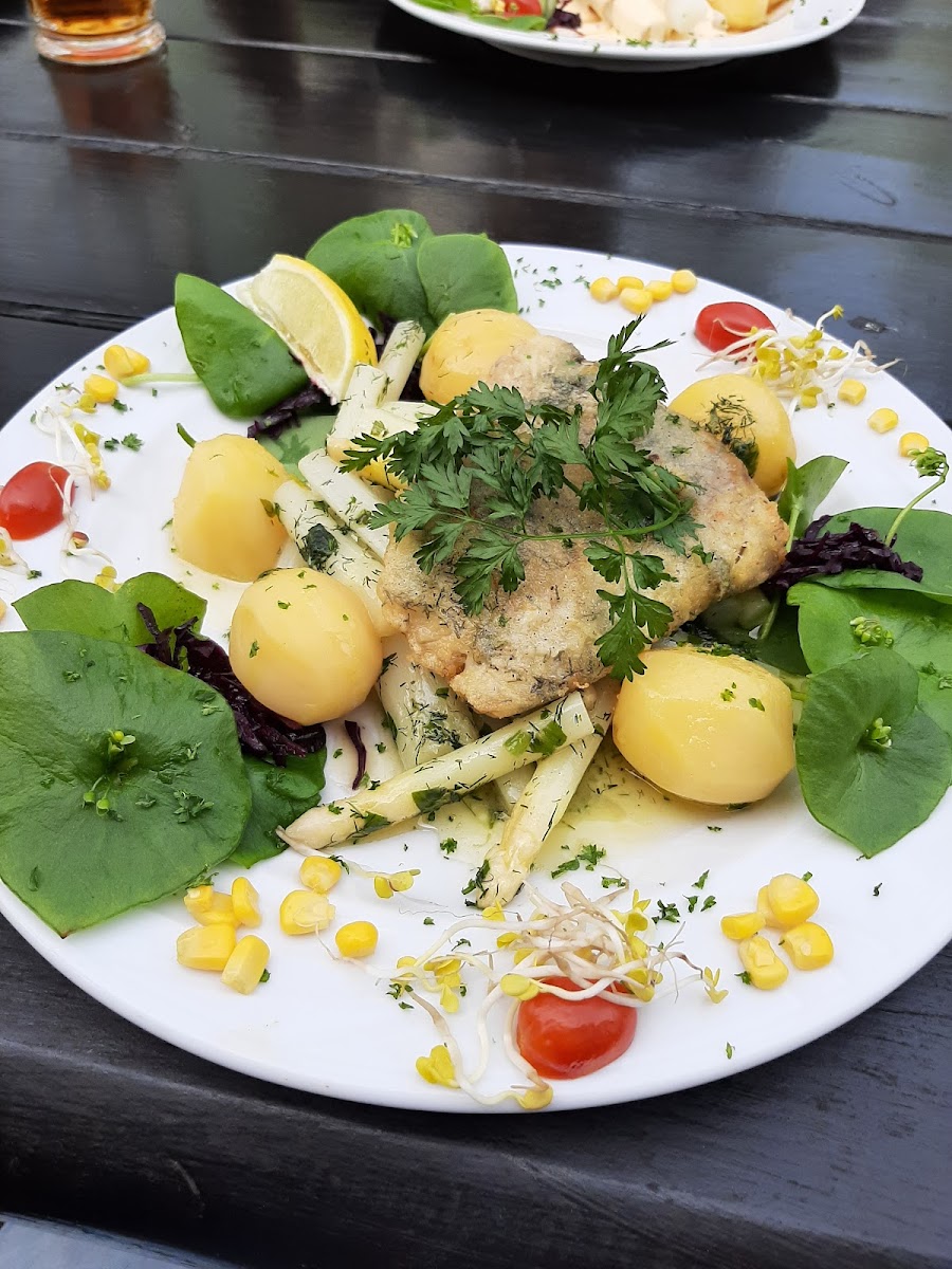 Gaststätte U. Pension Birkenblick-8